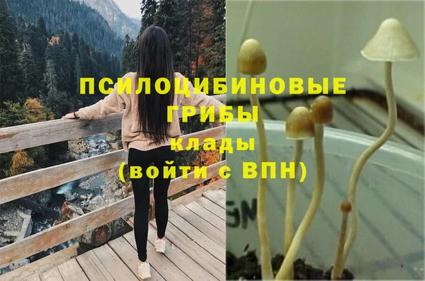 прущая мука Абдулино