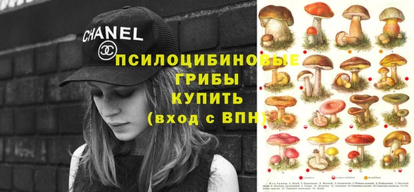 индика Алексеевка