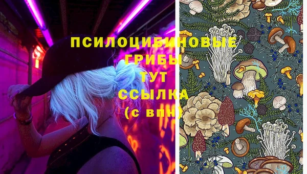 прущая мука Абдулино