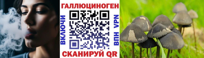 Галлюциногенные грибы Psilocybine cubensis  закладки  Анадырь 
