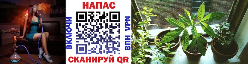 Конопля AK-47  Анадырь 